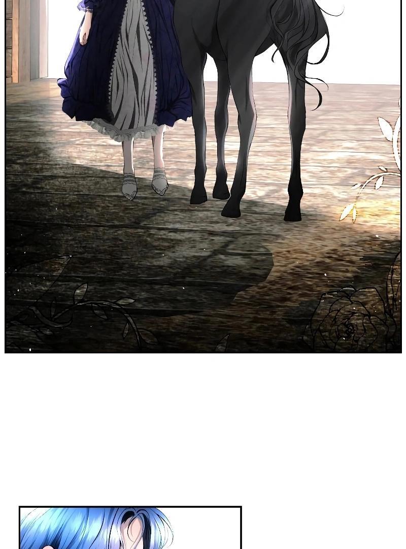 74288328 800 1080 103928